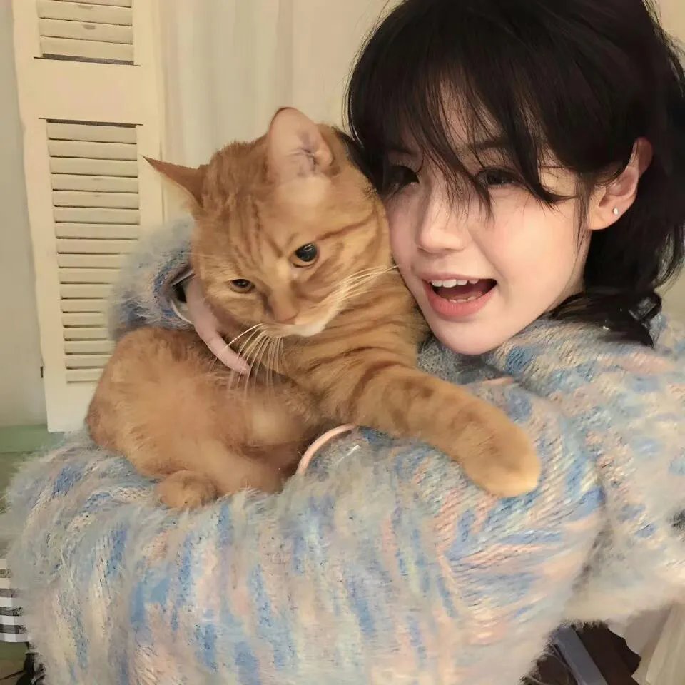 亲爱的恩佐